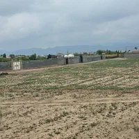 فروش زمین باغی روستای زاک ونجم|فروش زمین و ملک کلنگی|مشهد, الهیه|دیوار