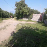 فروش/تهاتر ۲۷۰۰ متر باغ کیوی ومرکبات نزدیک شهر|فروش دفتر صنعتی، کشاورزی، تجاری|تنکابن, |دیوار