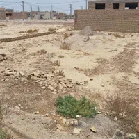 ملک شمالی ۲۳۶ متری کارشناسی معاوضه با ماشین|فروش زمین و ملک کلنگی|اردکان, |دیوار