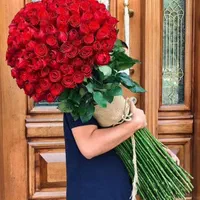 گل رزهلندی قرمزرنگی باکس دسته گل مستقیم از بازارگل