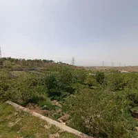 باغ چهاردیواری با امکانات پرورش اسب،دام قابل تهاتر|فروش دفتر صنعتی، کشاورزی، تجاری|هشتگرد, خور|دیوار