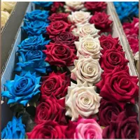 فروش عمده و تک گل مصنوعی ایرانی و خارجی