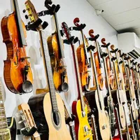 انواع ویولن مبتدی و حرفه‌ای