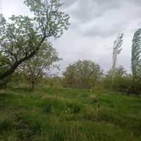 فروش باغ به متراز هزارو پونصد متر در کندلج|فروش خانه و ویلا|مرند, |دیوار