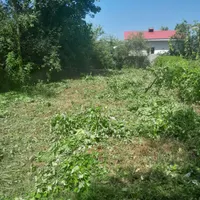 علف زنی (چمن)با دستگاه چند کاره و سم پاشی|خدمات باغبانی و درختکاری|لاهیجان, بازکیاگوراب|دیوار