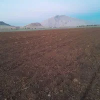 اجاره یکساله ۱۸ هکتار زمین کشاورزی با چاه آب۶ اینچ|اجارهٔ دفتر صنعتی، کشاورزی، تجاری|اندیمشک, |دیوار