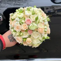 اجاره ماشین عروس در تهران و حومه|خدمات پذیرایی، مراسم|تهران, صادقیه|دیوار