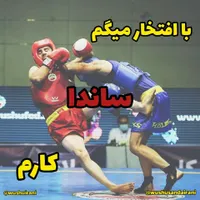 آموزش ووشوساندا