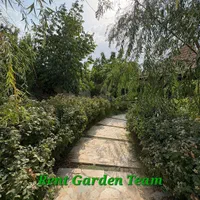 کد 250 ، سالن تولد و جشن ، تیم رنت گاردن|اجارهٔ کوتاه‌مدت ویلا و باغ|شیراز, گویم|دیوار