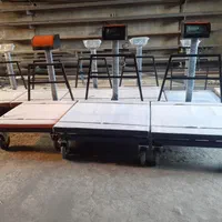 باسکول ۱ تن و ۲ تن (100+100)چرخدار و ثابت ترازو