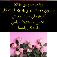 درآمد بالا با همکاری در اسنپ|استخدام حمل و نقل|بیرجند, |دیوار