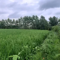 زمین کشاورزی هکتاری