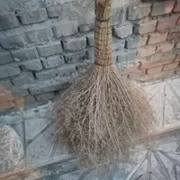جارو دستی  حیاط|لوازم نظافت|خوی, |دیوار