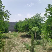 فروش باغچه/۷۰۰متری/جاده دزفول منتظران