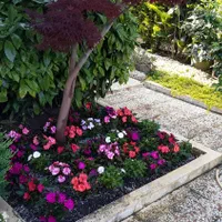 خدمات باغبانی