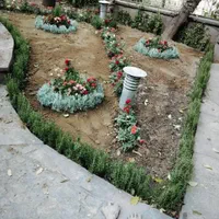 خدمات باغبانی باغچه کاری گلکاری درختکاری خاک گلدون|خدمات باغبانی و درختکاری|تهران, گیشا|دیوار