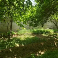 زمین_باغ ۳۱۰ متری سند دار در مهرشهر خیابان چمن