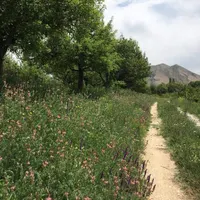 فرصتی استثنایی برای آرامش در قلب طبیعت|فروش زمین و ملک کلنگی|ارجمند, |دیوار