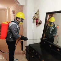 موریانه زدایی سمپاشی سوسک ساس سم پاشی عقرب موش