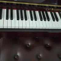 پیانو آکوستیک کارل اشتاینبرگ در حد نو