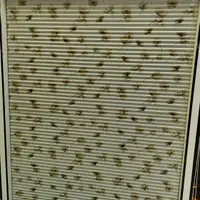 مرکز فروش پرده پلیسه رودری مدرن زبرا|پرده، رانر، رومیزی|قم, باجک دو|دیوار