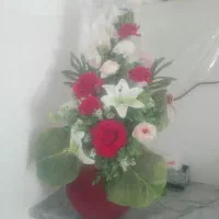 کفتر