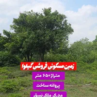 زمین مسکونی ۶۵۰متر روستای گیلوا بهمراه پروانه|فروش زمین و ملک کلنگی|کوچصفهان, |دیوار
