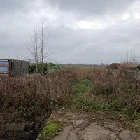 فروش یک قطعه زمین برای سرمایه گذاری|فروش زمین و ملک کلنگی|لشت نشا, |دیوار