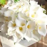 گل شیپوری لاله مصنوعی برگ گیاه بنجامین|گل مصنوعی|تهران, خانی‌آباد|دیوار
