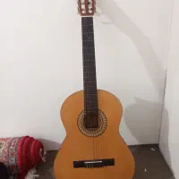 گیتار اکوستیک|گیتار، بیس، امپلیفایر|گنبد کاووس, |دیوار