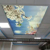 مجری نصب کناف،پی وی سی،پارکت و ترمو|خدمات پیشه و مهارت|بیرجند, |دیوار