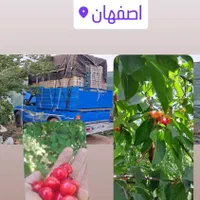 خدمات حمل بار با نیسان باربری نیسان|خدمات حمل و نقل|آباده, |دیوار