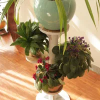 جای گلدان ۵ تایی فومیزه|گل و گیاه طبیعی|اصفهان, باغ فدک|دیوار