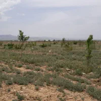 باغ شهر مینو دشت اشراق 1000 متر|فروش دفتر صنعتی، کشاورزی، تجاری|زنجان, |دیوار