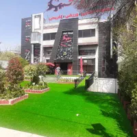 پخش مستقیم چمن مصنوعی دفتر فروش کارخانه|گل مصنوعی|شیراز, ریشمک|دیوار