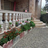 اجاره ویلا جنگلی رامسر شیک وتمیز بدون واسطه|اجارهٔ کوتاهمدت ویلا و باغ|رامسر, |دیوار