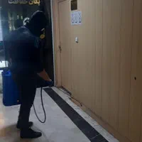 سمپاشی سلامت آفرین رشت (سم پاشی)|خدمات نظافت|رشت, گلباغ نماز|دیوار