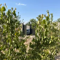 فروش باغ۱۰۰۰ متری_برق و آب _سند تک برگ