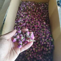 غنچه گل محمدی لاله زار درجه یک صادراتی|گل و گیاه طبیعی|تهران, مولوی|دیوار