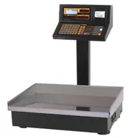 ترازو باسکول رادین ۷۰ کیلوگرمی 8800plus|فروشگاه و مغازه|قدس, شهرقدس|دیوار