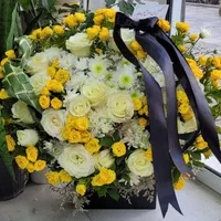 باکس مشکی|گل و گیاه طبیعی|شیراز, خلدبرین|دیوار