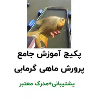 پکیج آموزشی پرورش ماهی گرمابی|کتاب و مجله آموزشی|تهران, نجات اللهی|دیوار