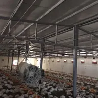 مرغداری تمام اتومات در اطراف ساوه|فروش دفتر صنعتی، کشاورزی، تجاری|تهران, یافت‌آباد|دیوار