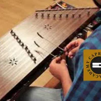 سنتور آموزش حرفه ای