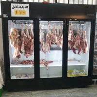 یخچال ایستاده لاینی گوشت و مرغ