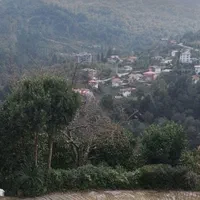 سوییت جنگلی همراه کلبه چوبی دل جنگل جواهرده|اجارهٔ کوتاه‌مدت ویلا و باغ|رامسر, |دیوار