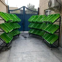 استند پالت میوه تره بار سبزی