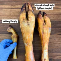 تشویقی پاچه گوسفندی و گوساله و قلم کامل شترمرغ