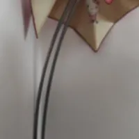 آباژور بلند