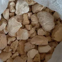 لبنیات گوسفندی